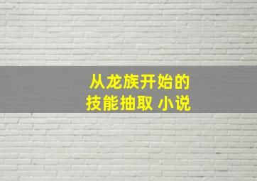 从龙族开始的技能抽取 小说